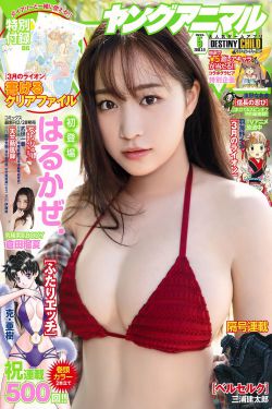 电视剧请君免费观看